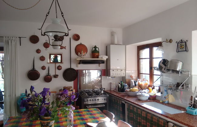 Agriturismo Casa Greppo - L'Ulivo - Foto 9