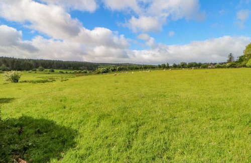 Moorgair Cottage - Foto 40