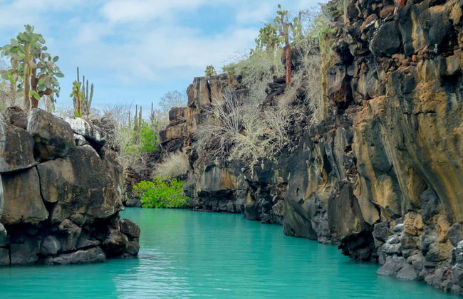 Excursion to Las Grietas & Alemanes Beach - Photo 6