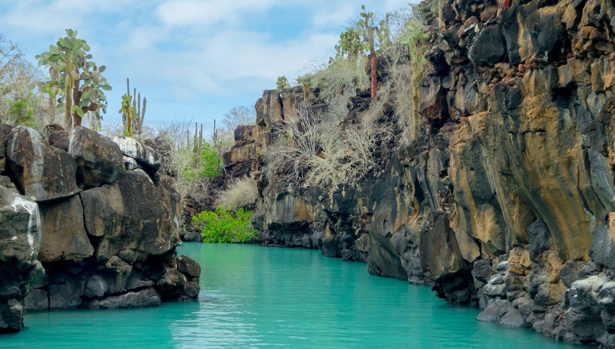 Excursion to Las Grietas & Alemanes Beach - Foto 1