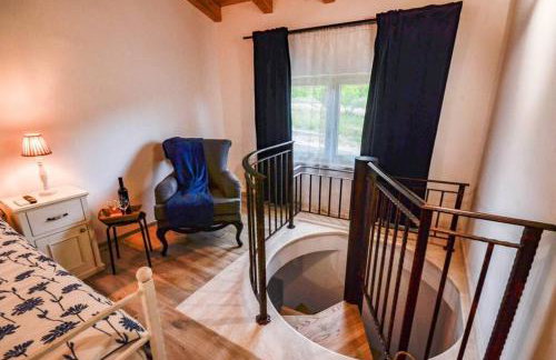 Lovely Istrian house - Šegon - Foto 23