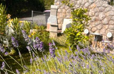 Villa Zita Lovran - Foto 25