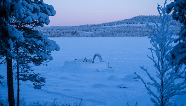 Aurora Colosseum Trip - Photo 4