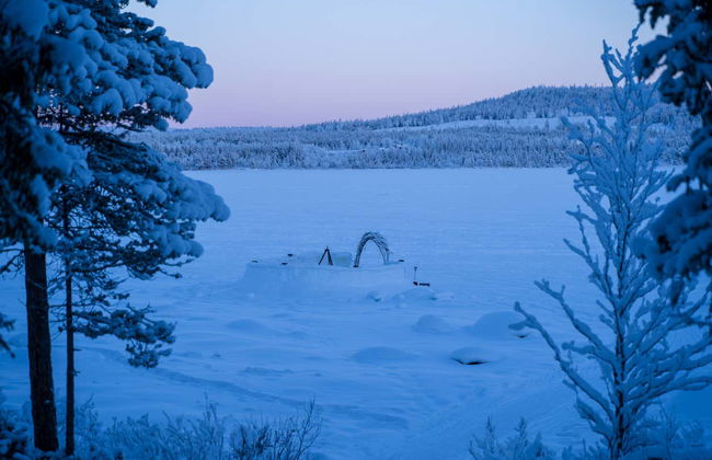 Aurora Colosseum Trip - Foto 4