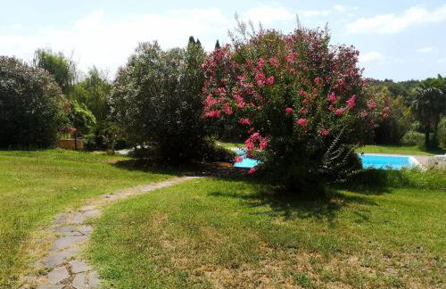 Podere Il Cerrone app Romilda con piscina - Foto 37