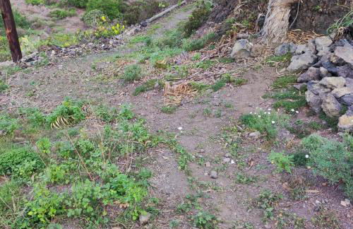 Finca Horizonte Azul - Foto 30