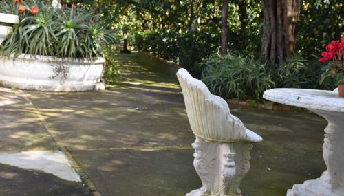 De Gregorio - Foto 5, Garden