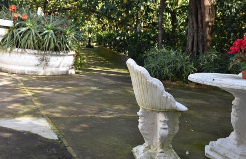 De Gregorio - Foto 5