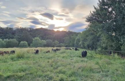 Agriturismo Pastorelli - Foto 32