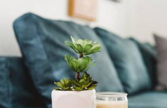 Stay Inspired | Cozy Artist Loft, Walkable & Artsy - Foto 8