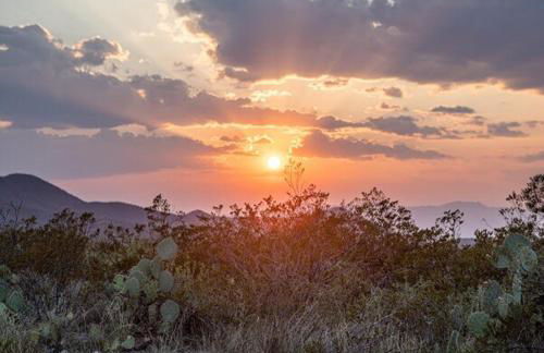 The Hollywood Cowboy - Foto 20