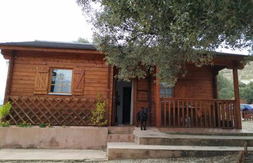 La casa del estanque - Foto 8