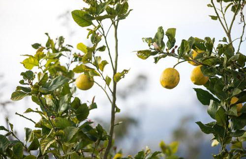 Bella Vista (Heated Pool & Private Parking) - Foto 32