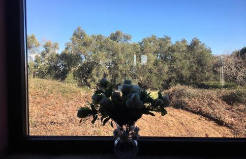 The Olive Tree House - Foto 60