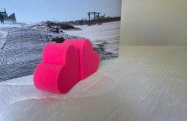 Ferienwohnung FeWo Plaggenburg- die Kleine große - Foto 12