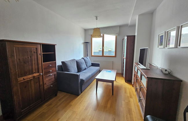 Apartamentos 3000 Formigal - Foto 32