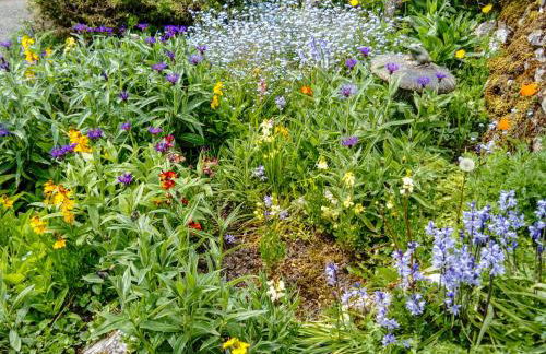 Church View - Photo 11