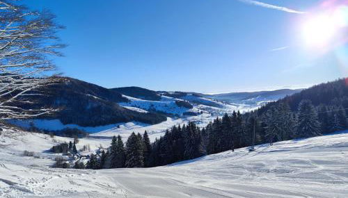 Ferienwohnung Skilift Hofeck - Foto 4