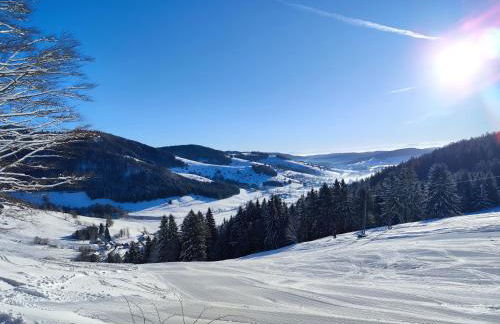 Ferienwohnung Skilift Hofeck - Foto 4