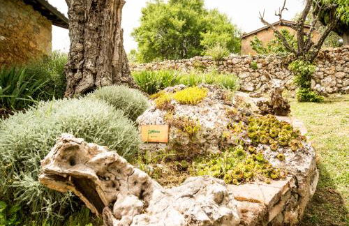 Agriturismo Il Caggio - Foto 34