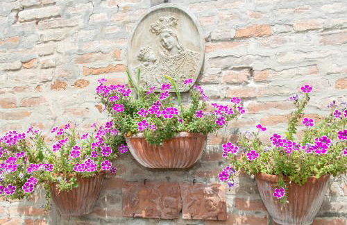 Interno Estense 753 - Foto 21