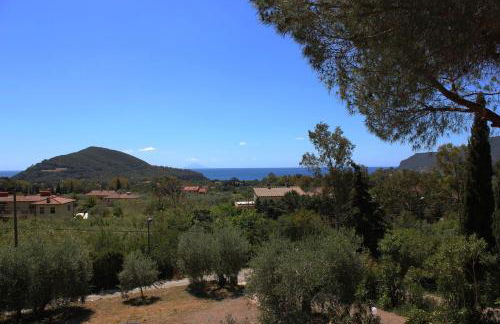 Podere L'Isolella - Foto 12