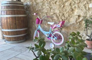 Antico casale Sofia - Foto 4