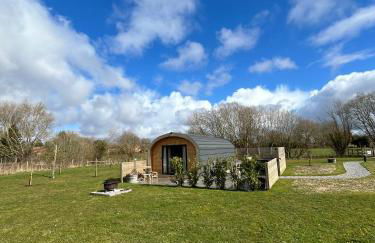 Dwell on the Moor - Foto 7