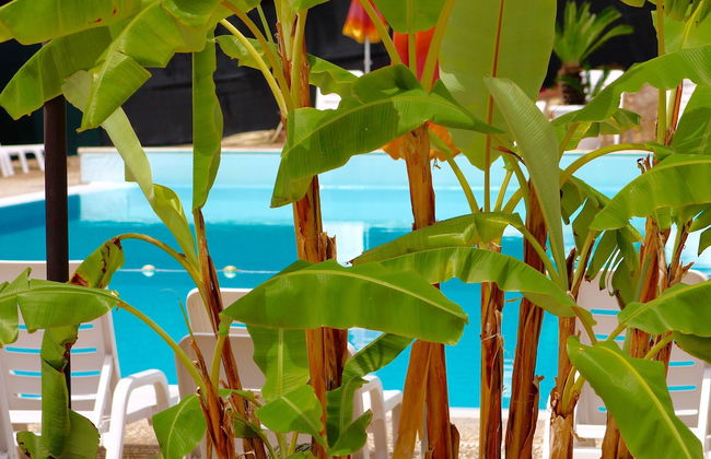 Villaggio Turistico Defensola - Foto 32