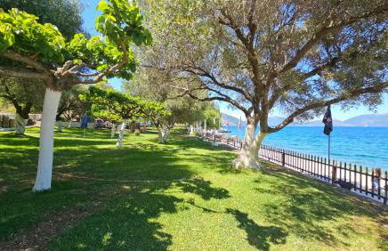 Paradise Villas - Foto 69