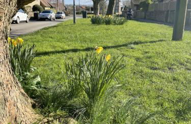 HEBE COTTAGE - Idyllic and homely with attention to detail - Foto 6