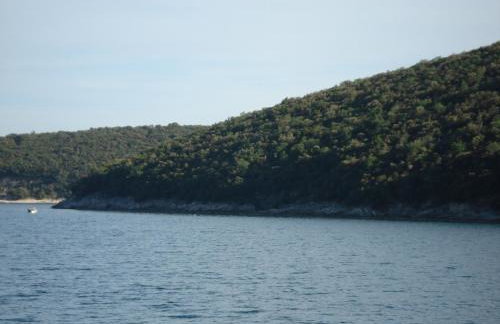 Apartmani Tijano - Photo 37