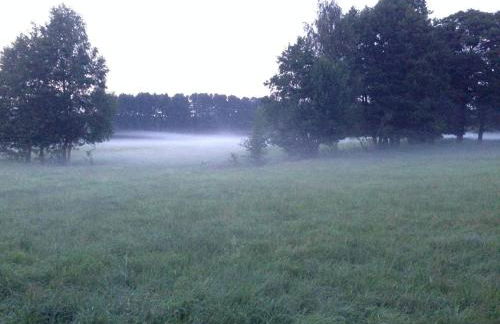 Ferienwohnung Ortrand - Pension - Foto 39