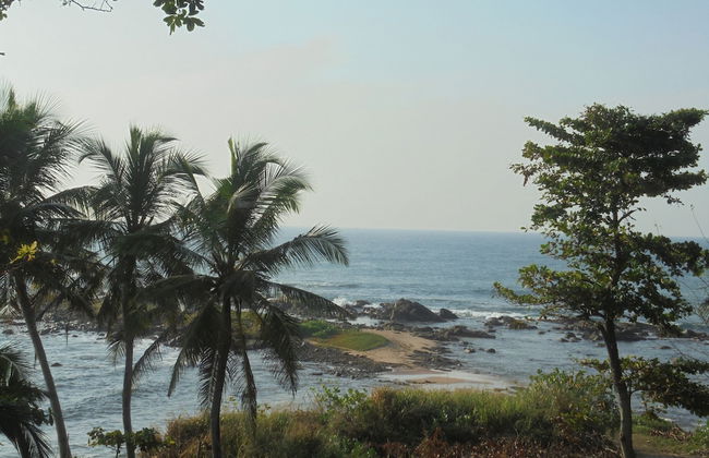 Eagle Homestay - Foto 20