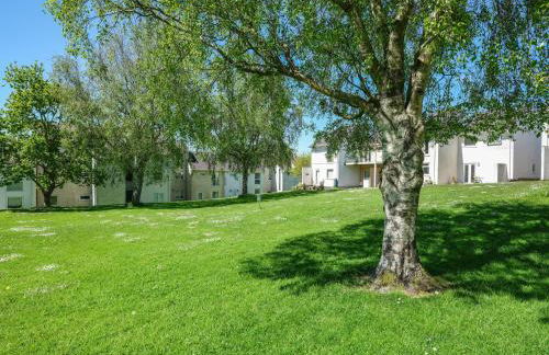 Machlud Ynys - Foto 36