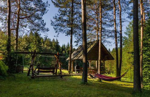 Smerekowiec Domek w lesie - Beskid Niski - Foto 8