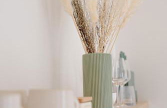 Maison Raphaël studios - Plages, Ville et Gare à Pied - Foto 27