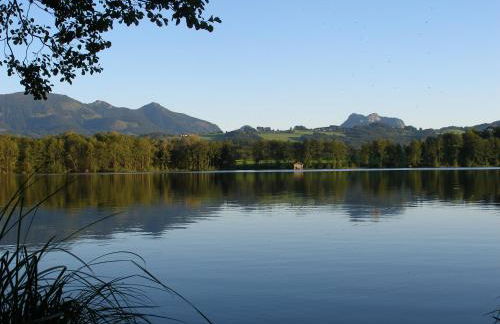 Gschwingerhof - Foto 18