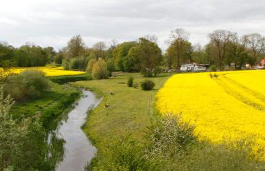 Luxus-Ferienhaus auf Reiterhof ART.Quartier - Foto 28