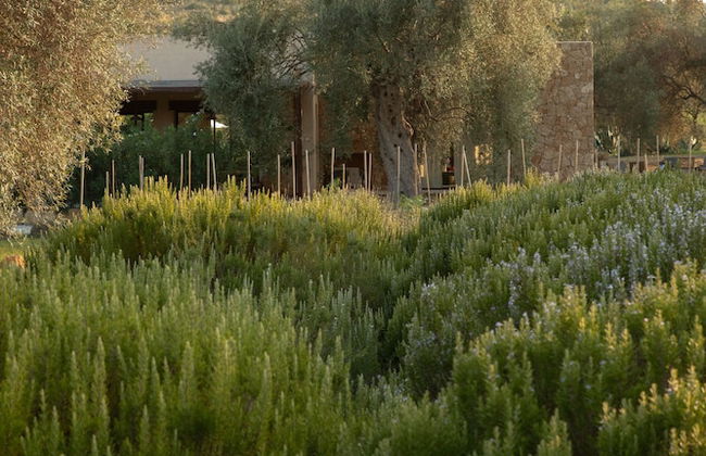 IUTA Glamping & Farm - Foto 70