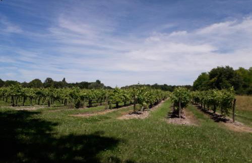 Petit gîte La vigne est belle - 2 étoiles- Sud Charente - Foto 17