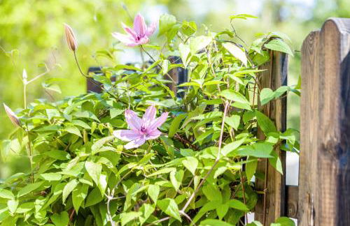 Haus Miriam - Foto 31