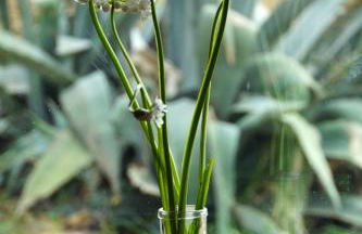 Marrucheti 82 - Foto 37