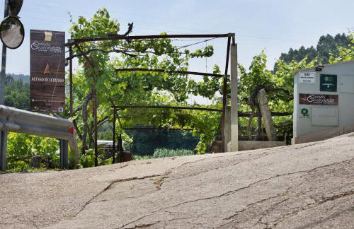 Quinta Da Cevidade - Foto 50