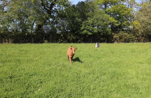 The Parlour - Foto 19