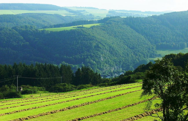 Holiday Home for Groups in Kinheim - Foto 36