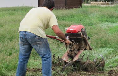 Stella Di Sicilia - Foto 12