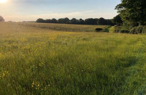 Shepherd Hut Lodge on Farm Waterside Goodwin Farm - Photo 30