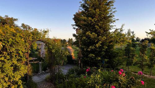 Ruhiges wohnen mit Bergblick - Foto 3, Garden