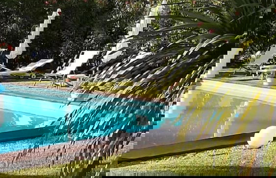 Oca Giuliva - Foto 20